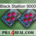 Black Stallion 9000 14